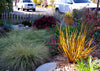 Stormwater Mix Stormwater Mix